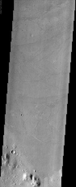 NASA image: Enigmatic Terrain of Elysium Planitia