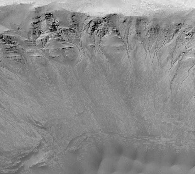 NASA image: Gullies in a Crater Wall in Newton Basin: