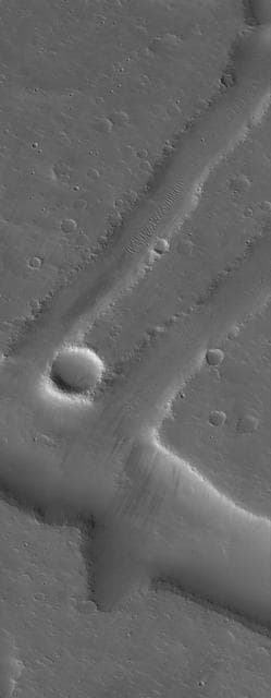 NASA image: Troughs in Tharsis
