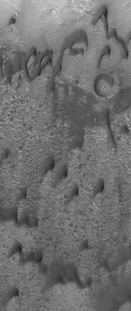 NASA image: Dark Martian Dunes