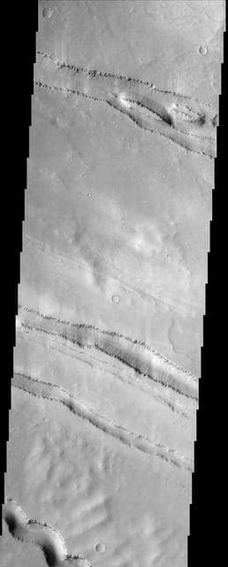 NASA image: Elysium Fossae