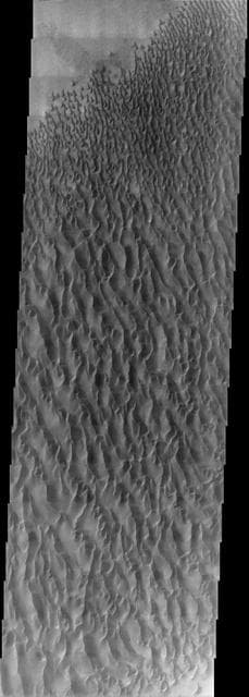 NASA image: Proctor Crater Dunes