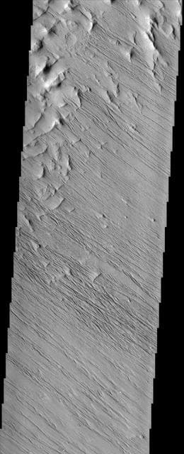 NASA image: Yardangs near Olympus Mons