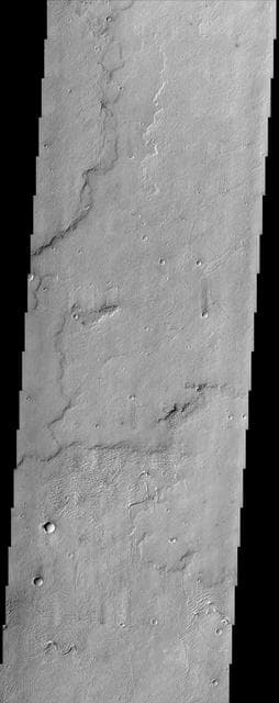 NASA image: Lava Flows of Daedalia Planum
