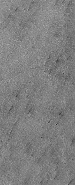 NASA image: Polygon-Cracked Plain