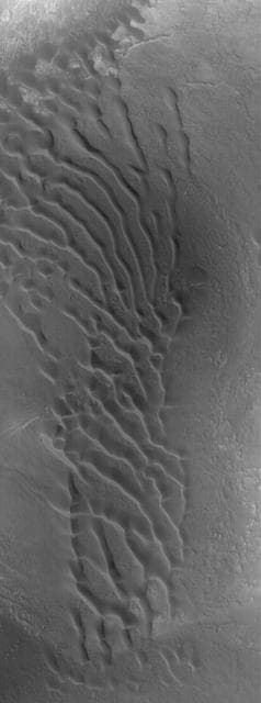 NASA image: Nilosyrtis Dunes