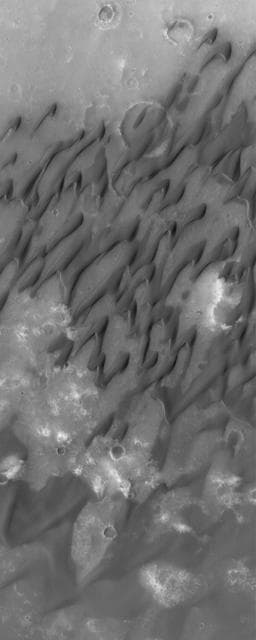 NASA image: Dunes of Herschel