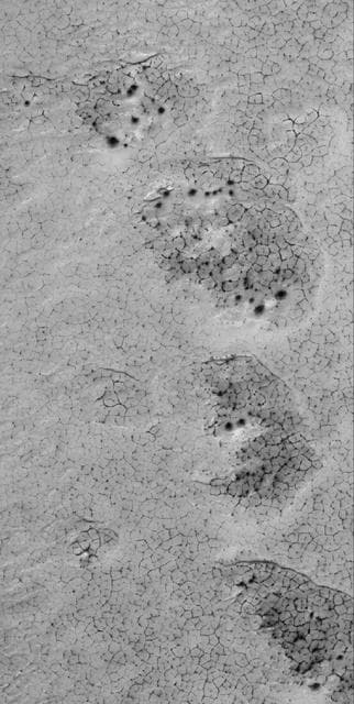 NASA image: Polar Polygons
