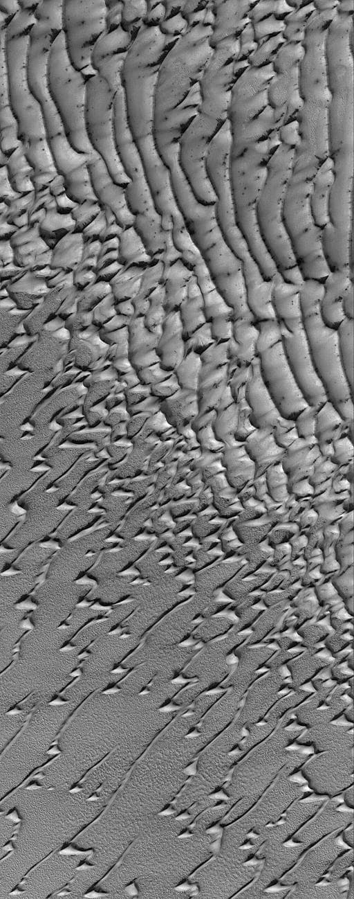 NASA image: Frosty Dunes