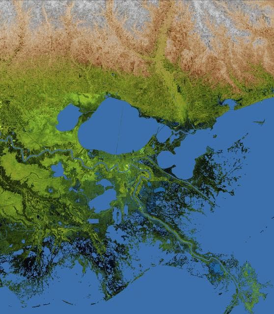 NASA image: Mississippi Delta, Radar Image with Colored Height
