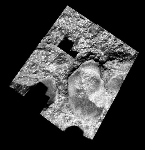 NASA image: Focus on Rue Legendre