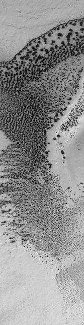 NASA image: Defrosting Sand