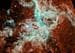 NASA image: Doradus Nebula