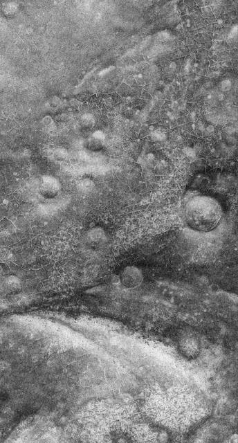 NASA image: Polygons and Craters