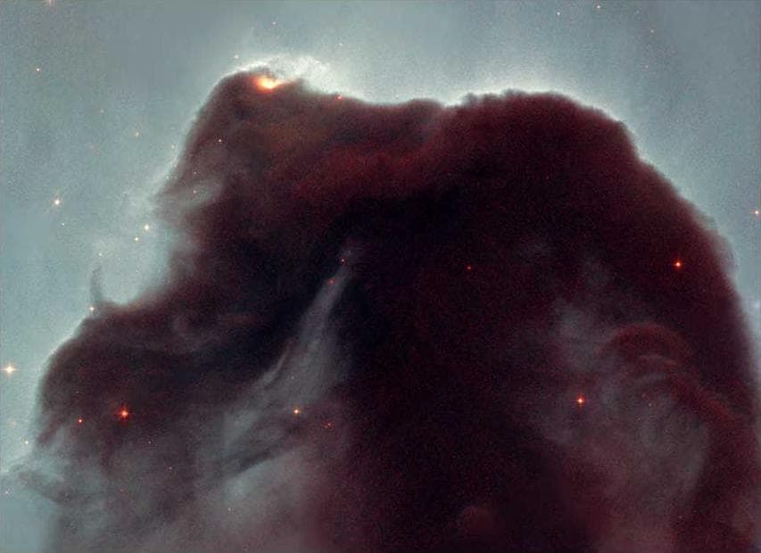 NASA image: Horsehead Nebula