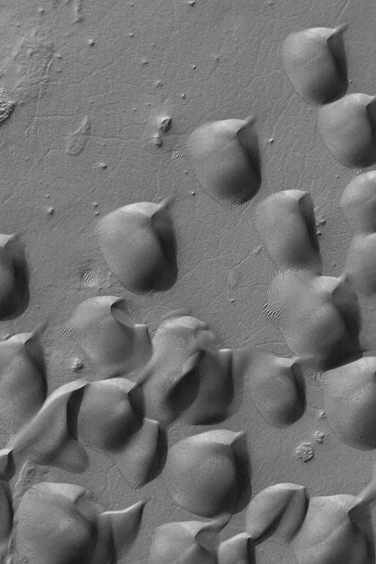 NASA image: Wirtz Crater Dune Field