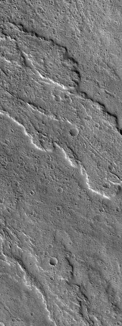 NASA image: Flows of Ascraeus