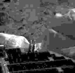 NASA image: First IMP Image