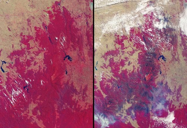 NASA image: Drought and Burn Scars in Southeastern Australia