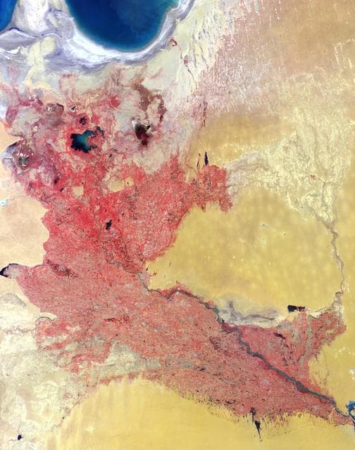 NASA image: Where on Earth...? MISR Mystery Image Quiz #13: Western Uzbekistan and Northeastern Turkmenistan