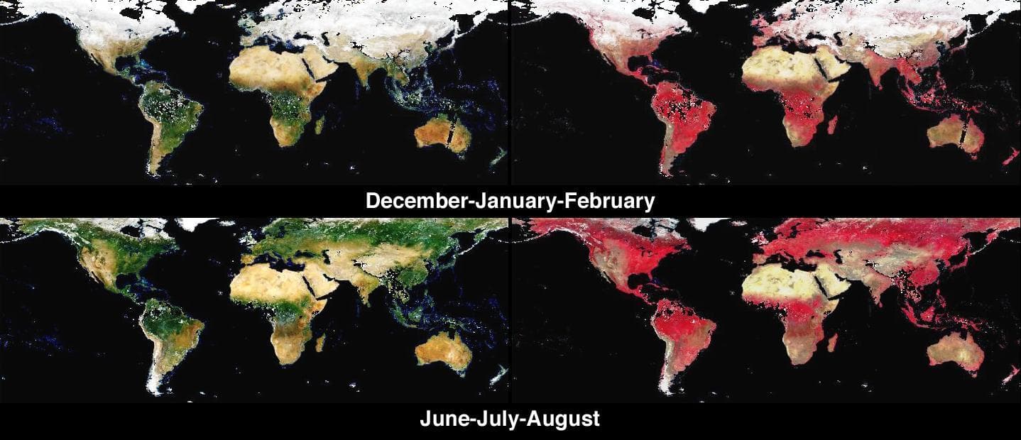 NASA image: Global and Seasonal Surface Albedos from MISR