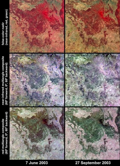 NASA image: Austral Winter and Spring in Queensland Brigalow Belt
