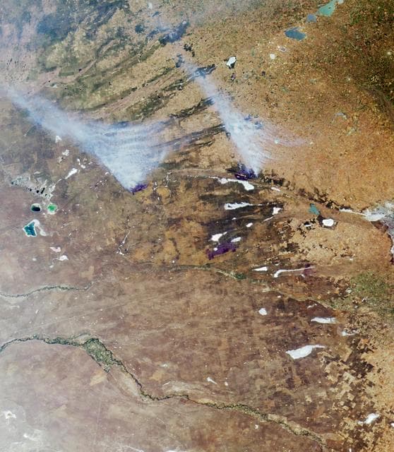 NASA image: Where on Earth...? MISR Mystery Image Quiz #17:<br .>The Pampas of Argentina