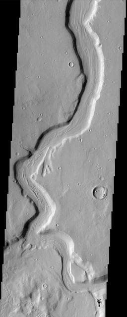 NASA image: Mamers Vallis