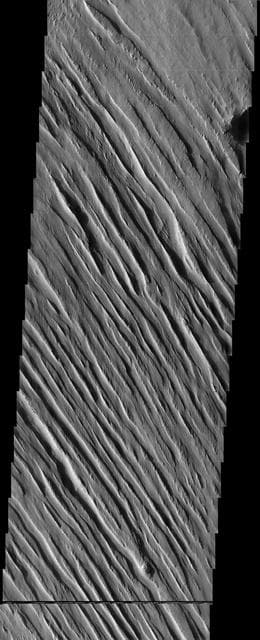 NASA image: Memnonia Sulci