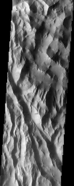 NASA image: Lycus Sulci