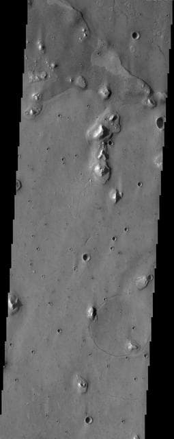 NASA image: Acidalia Planitia
