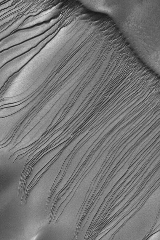 NASA image: Russell Dune Gullies