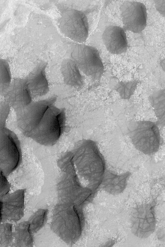 NASA image: Dunes and Dust Devil Tracks