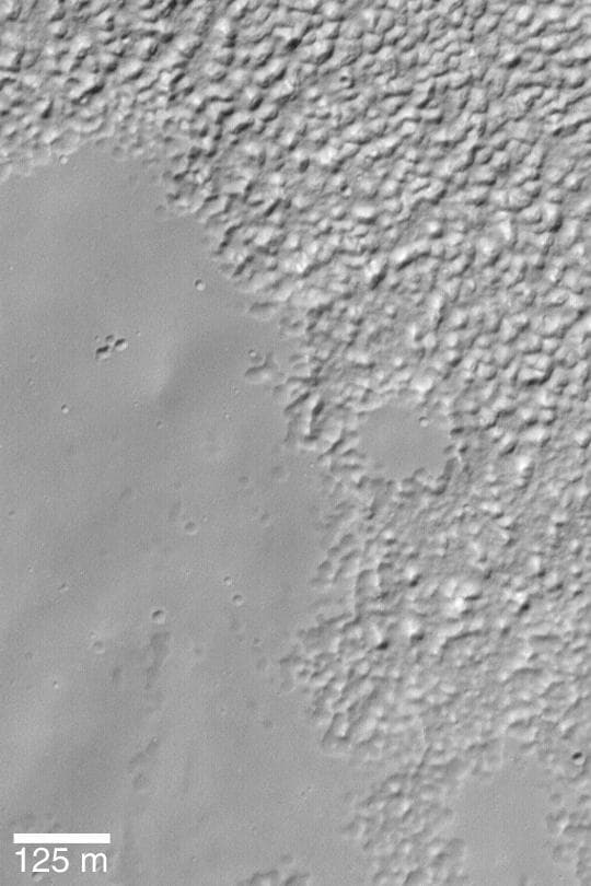 NASA image: Martian Ground