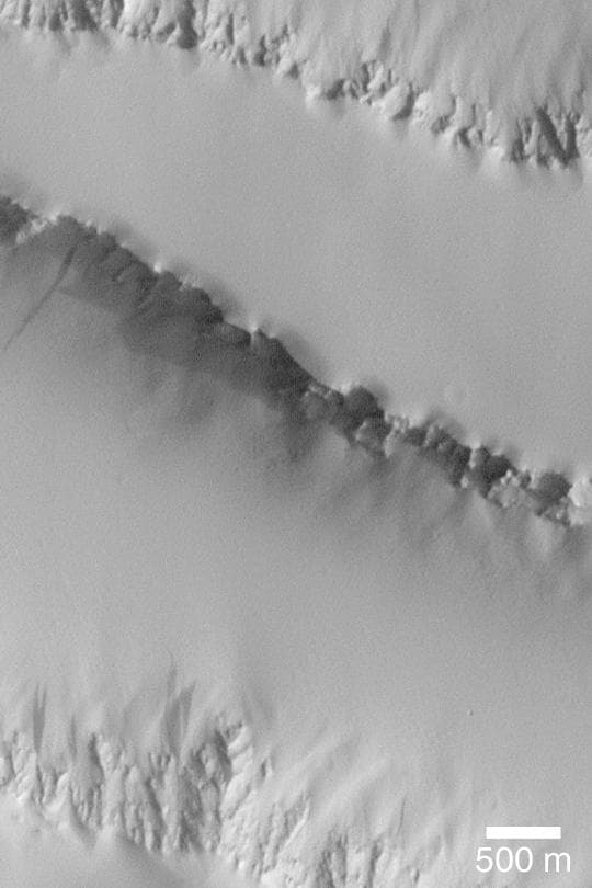 NASA image: Dust Mantle Near Pavonis Mons