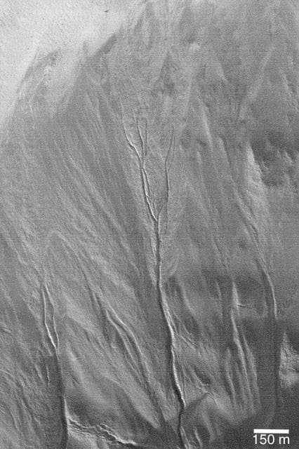 NASA image: Distributary Channels