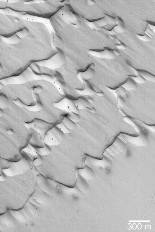 NASA image: Frosted Chasma Boreale Dunes