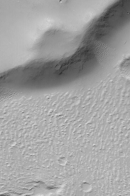 NASA image: Daedalia Lava Flow Margin