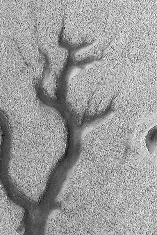 NASA image: Dark Valley in Newton Crater