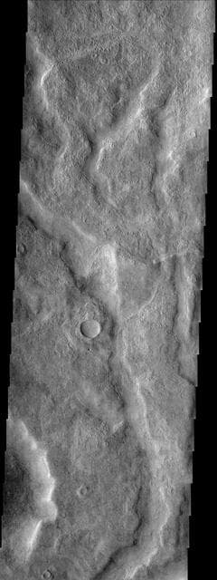 NASA image: Tader Valles