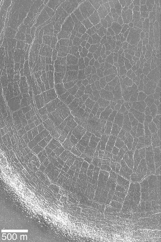 NASA image: Spiders from Mars?