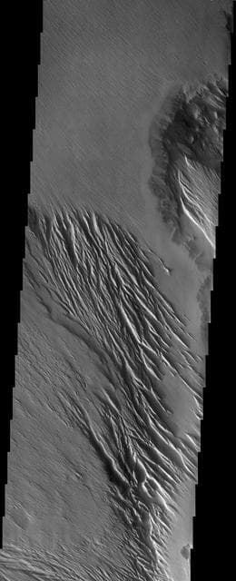 NASA image: Wind Effects in Tharsis