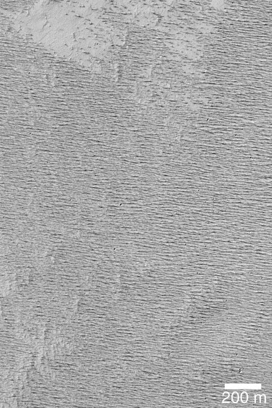 NASA image: Textured Memnonia Plain