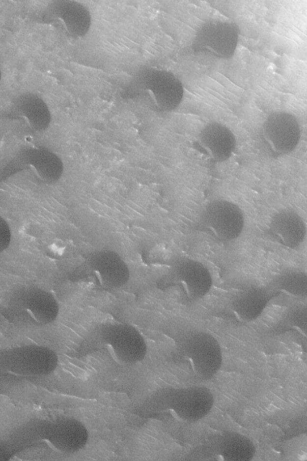 NASA image: Peridier Dune Field