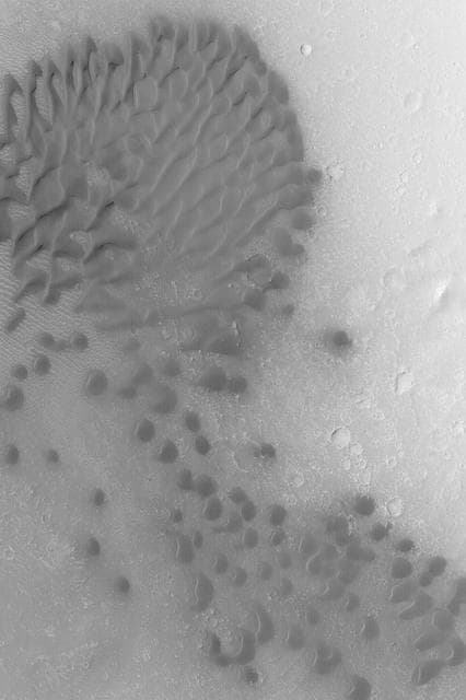 NASA image: Intracrater Dune Field
