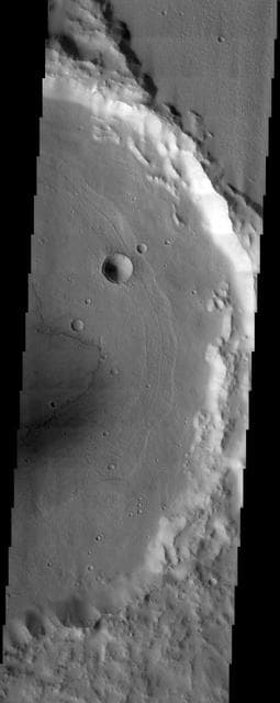 NASA image: Concentric Crater Floor Deposits in Daedalia Planum