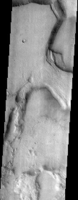 NASA image: Niger Vallis
