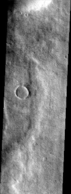 NASA image: Martian Tracery