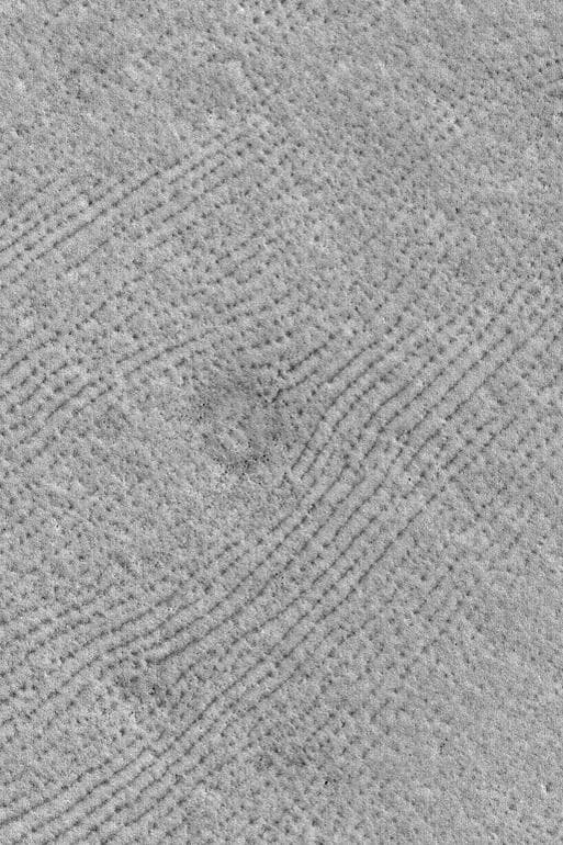 NASA image: Northern Plains Patterns