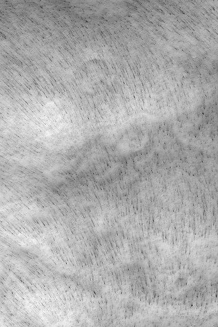 NASA image: Frosty Wind Streaks